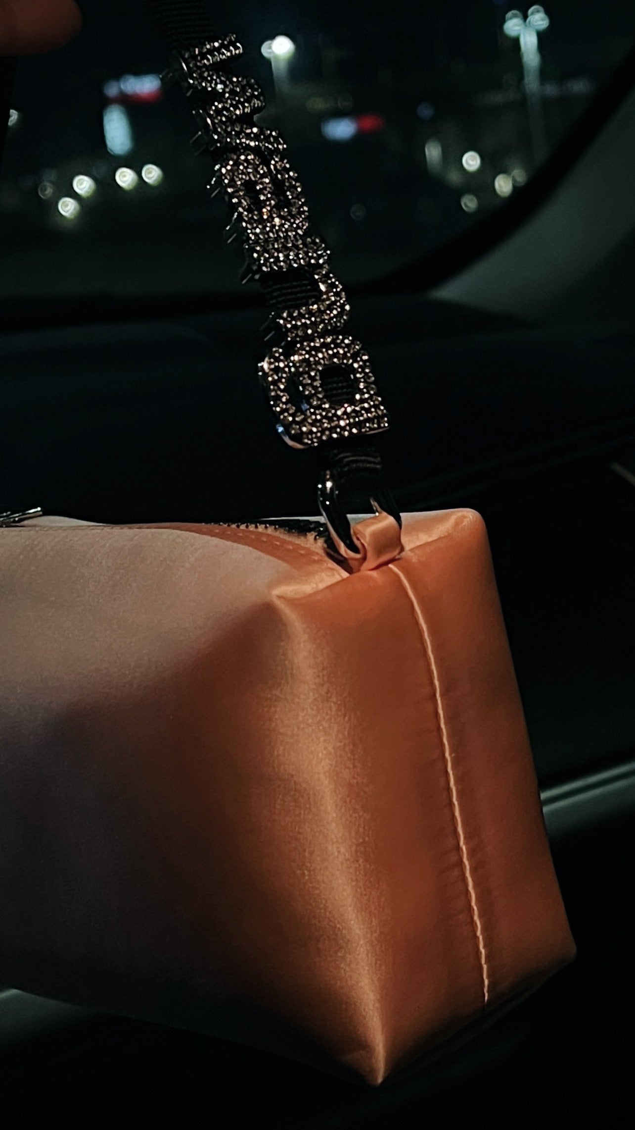 Miu Miu Studded Strap Bag